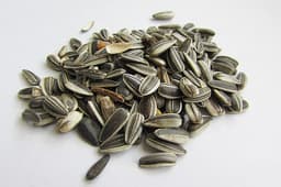 6. Sunflower Seeds